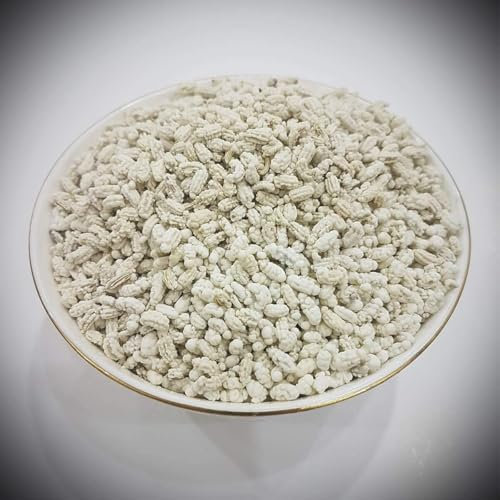 NN Plate Peppermint Coated Fennel Seeds | White Saunf Madrasi Sauf (250 GM)