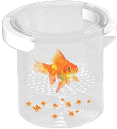 Aquarium de boîte d'élevage – Filet d'isolation pour pépinière, séparateur d'incubateur de couvoir, enclos Guppy à crevettes | Récipient d'alimentation flottant pour acclimatation des frites, salle de