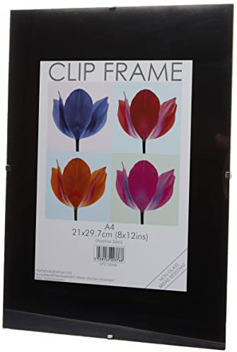 Hampton Frames CLIP FRAME Photo Frame Poster Certificate Display Frame Acrylic Aperture (Non Glass) A4 (21x30cm) CF2130NG