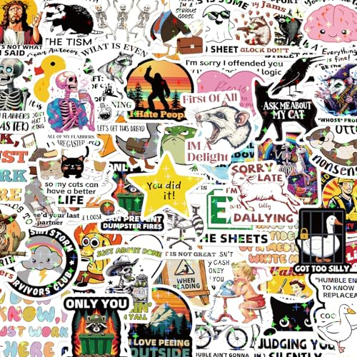 Funny Stickers for Adults 238 PCS - Holographic Sarcastic Meme Decals | Waterproof Vinyl Laptop Stickers, Water Bottle, Phone, Kindle | No Repeats