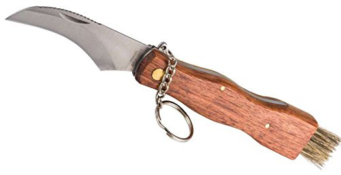 COUTEAU A CHAMPIGNON DOS DENTÉ + BROSSE COUTEAU PLIABLE DE POCHE MANCHE BOIS NF