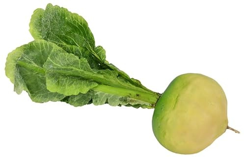 Props4shows Fake Turnip