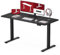 SANODESK Höhenverstellbarer Schreibtisch mit KOMPLETTER TISCHPLATTE, Ergonomischer Standing Desk, Computertisch mit Memory-Funktion für Homeoffice,110 x 60 cm,schwarz