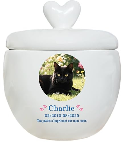 Urne personnalisée pour animaux de compagnie, urne à cendres de chien, urne pour chat, boîte à souvenirs en céramique, personnalisation faite à la main (Cendres de petite taille ≤10 kg (pas d’os))