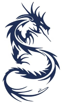 Tattwo.me – Temporäre Tattoos für Erwachsene und Kinder, hält 2 Wochen, wasserfest – Drachen – Pflanzliche Tinte – EU-Kosmetik-Zertifikat – (M0215)