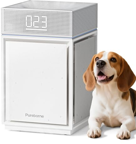 Pureborne Luftreiniger Allergiker für Schlafzimmer Zuhause, Weiß | Air purifier mit CADR 400m³/h, 260㎡, HEPA Luftfilter gegen Fellgeruch Staub Pollen PM2.5, Luftqualitätssensor & PM2.5-Display