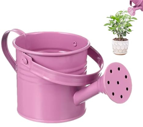 Canna Da Irrigazione - Acqua | Irrigazione Zincata Di Ferro Può | Resit Waterer A Prova Di Ruggine | Contenitore Di Fiori con Maniglia per Amici Famiglia T