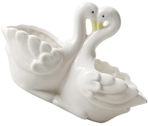 Cabilock Swan Shape Ceramic Planter Pot Für Sukkulenten Und Stilvoller Blumentopf Keramik Für Innenräume Und Garten Perfektes Für Gartenliebhaber