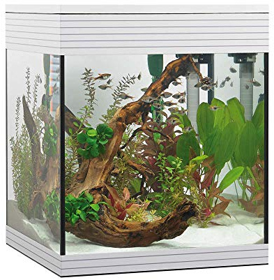 Askoll Aa350046 Acquario Pure LED, M, Bianco