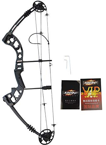 MILAEM Bogenschießen Compoundbogen Jagdbogen 30-55lbs Einstellbare 310FPS Sportbogen mit Carbonpfeilen Bogen für Erwachsene Außenschießübungen für Rechtshänder (Type 1)