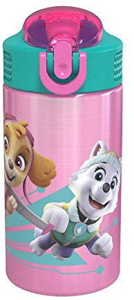 Zak Designs 18/8 Stainless Steel Kids Water Bottle with Flip-up Straw Locking Spout Cover, Durable Cup for Sports or Travel (15.5oz, Paw Patrol Skye),PWPT-S732
