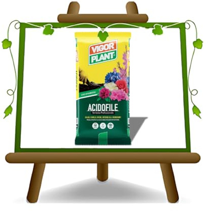 EURO PLANTS VIVAI Terreau Acidophile 45 L