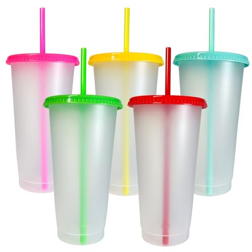 Reusable Frosted Thick Plastic 24 OZ 710 ML Tumbler Cup with Straw Lid - 5 Pack Travel Mug for Office, Parties