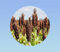 500 graines SORGHO - soricum - AROMATIQUE - engrais vert - utilisés dans les bouquets frais ou séchés