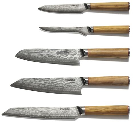 CLASSE ITALY SET 5 Coltelli in Acciaio Giapponese AUS 10 a 67 strati, Affilato a mano, Manico in Olivo, Panno pulizia incluso