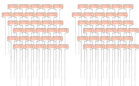 Fegtrty Lot de 60 étiquettes réutilisables en cuivre de 25,4 cm de haut pour plantes