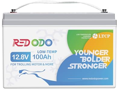 Redodo 12V 100Ah LiFePO4 Batterie mit 100A BMS Low Temperature Schutz und 3000-15000 Zyklen,1280Wh wiederaufladbare Lithium-Batterie für Trolling Motor, Womo, Solaranlage Wohnmobil, Solarpanel Kit