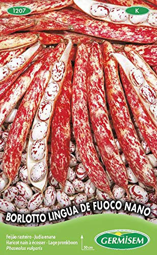 Germisem Borlotto Lingua de Fuoco Nano Semi di Fagioli Francesi 100 g