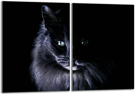 DarHaus Tabla de cortar decorativa de cristal templado y cubre vitro, Placa protectora de vitrocerámica 40 x 52 cm 2 piezas, para inducción, protección contra salpicaduras, decoración, GATO