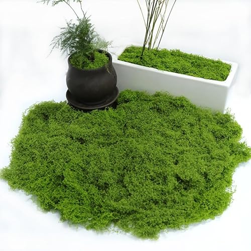 Pandiui23 200 Gramos Musgo Artificial Decoracion Simulación de Musgo Planta Verde Artificial Maualidades Simulación Césped Artificial Musgo para decoración de Manualidades (1, Verde, 200 Gramos)