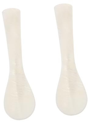 Didiseaon 2pezzi Cucchiaio Da Dessert Inossidabile Cucchiai Shell Per e Caffè Accessori Cucina Versatili Per Feste e Eventi Speciali