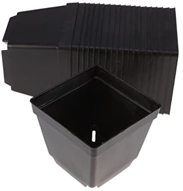 VANZACK Paquete De 20 Macetas De Plástico para Suculentas 10 X 10 Cm Cuadradas De Resina con Drenaje para Decoración