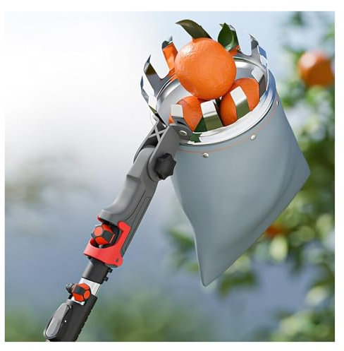 AMUFJJ 10 16 20 23 FT Fruit Picker Pole Tool with Basket Telescoping Long Handle, Heavy Duty Fruit Picker Head Basket Diameter 6 inch, Apple Avocado Acorn Lemon Pear Mango Picker(7m/23ft)