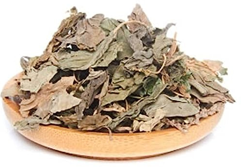 HELLOYOUNG 250g Tisana di erba di piantaggine biologica cinese Senza additivi gusto rinfrescante colore chiaro della zuppa