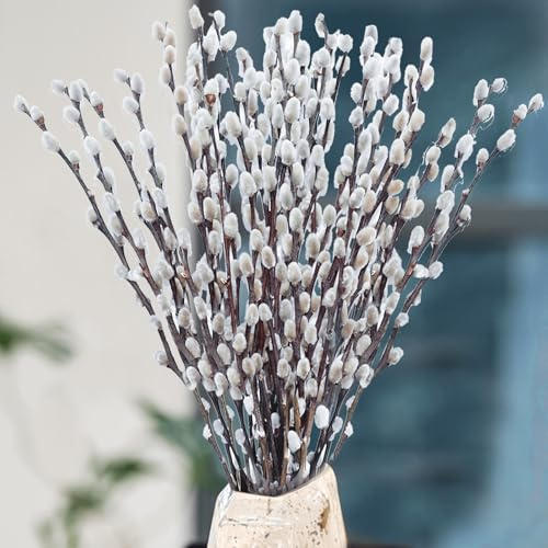 Oning 30 Stems Real Dried Pussywillow Preserved Greenery Branches for Vase- Natural Pussywillows with White Flowers, 16''-17'' Snow Willow Branches for Easter Wedding Home Party Hotel Fireplace Decor