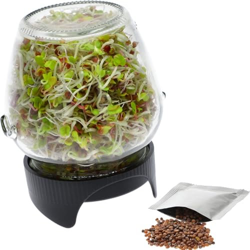 Browin 745747 Twist-Off Germination Glass for Sprouts, Black & Transparent, Sprouting Jar Glass + Radish Seeds, Germinator Set, Sprouting Jar Kit with Seeds