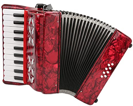 IRIN Accordion, 8 Bass 22 Key Beginner Musical Instrument for Children with Cleaning Cloth and Strap