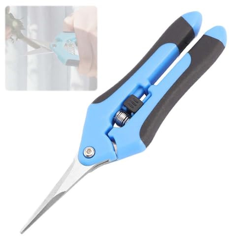 GNALIA 1 Pezzo Forbici Potatura, Cesoie Da Giardinaggio Con Lame Curve Rivestite Titanio E Manico Bloccabile, Per Fiori Rose Frutta Piante, Lunghezza 16Cm, Colore Nero-Blu