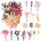 LAUMOE Fleurs Séchées, Fleurs Sechees Naturelles Fleur Séchée pour Bougies Fleurs Sechees Fleurs Séchées Vrac Fleur Sechees Decoration pour Bricolage Résine Epoxyn Art DIY Artisanale Scrapbooking
