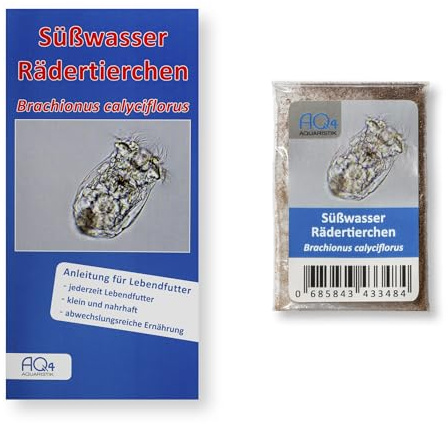 Süßwasser-Rädertierchen Brachionus calyciflorus, Eier, Lebendfutter-Zucht | Zuchtansatz, 0,1 ml Rotatoria-Eiern, feines Lebendfutter für Jungfische; Für Fischbrut und kleine Fische, einfach zu züchten