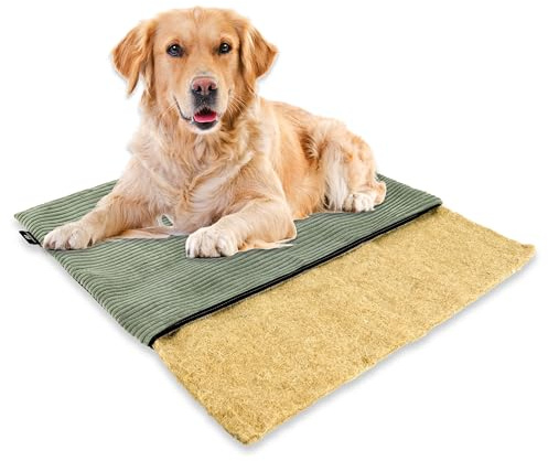 mümmi Hundematte HANF, allergikerfreundlich (Salbei, Gr. 1 (kleine Hunde)) | Geruchsbindend, Allergikerfreundlich, Waschbar bei 60°, Eckig rutschfest, Hundematratze