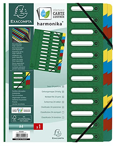 Exacompta 55243E Premium Ordnungsmappe Harmonika. Aus extra starkem Colorspan-Karton DIN A4 24 Fächer und 2 Gummizüge mit Indexfenster und dehnbarem Rücken Register-Mappe grün