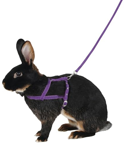 Kerbl Shoulder Harness Agility with Leash, Medium, 2 m