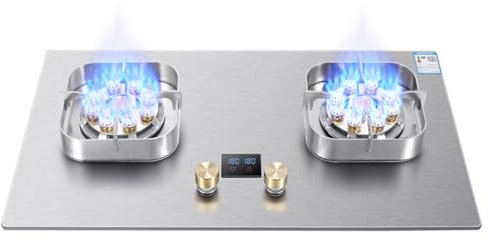 Cuisinière Au Propane, Cuisinière Au Propane Portable À Double Brûleur, Table De Cuisson À Gaz En Acier Inoxydable Maximum 17060BTU Adaptée À Au Camping-car Et Aux Appartements (Color : LPG, Size :