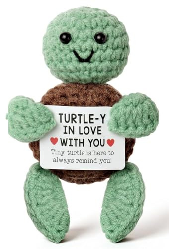 Aolso Lustige Positive Schildkröte, Pocket Hug Schildkröte, Kreative Gestrickte Schildkrötepuppe, Niedlich Kuscheltier, Viel Glück Geschenke, Motivationsgeschenke, Glücksbringer für Prüfunge