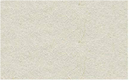 Ursus 2174680 - Tonzeichenpapier hellgrau, DIN A4, 130 g/qm, 100 Blatt, durchgefärbt, hohe Farbbrillanz und Lichtbeständigkeit, aus Frischzellulose, ideale Grundlage für zahlreiche Bastelarbeiten