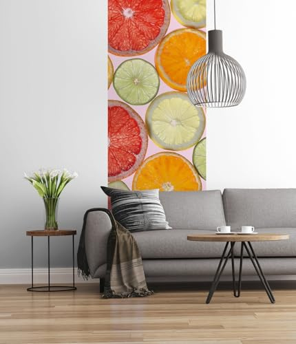 Komar 1098-DV1 Fotomural, Colorido, 100 x 280 cm (Breite x Höhe)