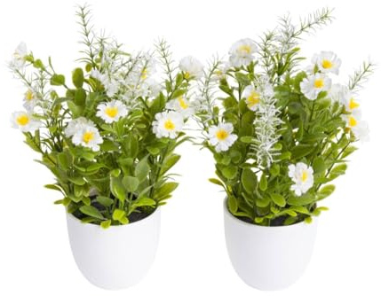 Botanic-Haus künstlicher Waxflowerbusch (Miniblüher) im weißen Kunststofftopf Farbe: Creme-weiß (2 Stück)