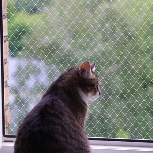 heqxwl Nylon Katzenschutznetz Katzennetz für Balkon Ohne Bohren Transparent Können Zuschneidbar ​und Bissfest Balkonnetze für Katzen ​zur Absicherung von Terrasse, Fenster und Türen (3x4 m)