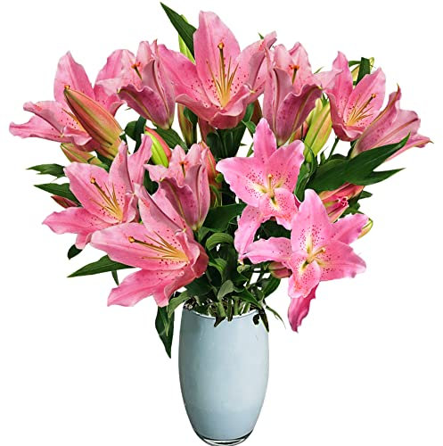 Just Lilies - Pink Lily Flower Bouquet - Fresh Oriental Lilies Delivered Next Day - Hand-Tied Floral Arrangement