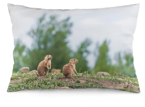 Zhimahou Kissenbezüge, 50 x 35 cm, junge Präriehunde, die in der Nähe von Burrow sitzen, Stuhlkissen, Sofakissen, Sitzkissenbezüge, Bett-Kissenbezüge