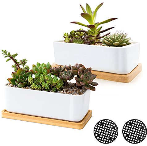 ARVINKEY White Ceramic Succulent Planters, Indoor and Outdoor Succulent Planters, Set of 2 Small Cactus Containers, Bonsai Pots, Flower Pots with Drainage Hole and Bamboo Bowl (No Plant)