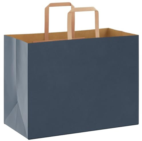 vidaXL Papiertragetaschen 50 Stk., Papiertüten mit Henkeln, Papiertüten, Geschenktüten für Einkaufen Hochzeiten Verpackungen Partys Geburtstag Weihnachten, Blau 32x17x25cm