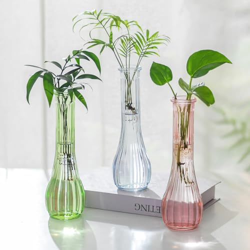 NUPTIO Små Glasvaser för Blommor Dekorativ: 3 Stycken 21,7cm Höga Vaser för Bröllopsdekor - Färgglad Ribbad Vas för Fest Inflyttningsfest Hemrum Bordsdekoration