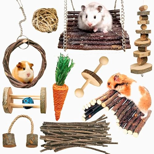 Hamster Kauspielzeug 10 Stück Meerschweinchen spielzeug Natürliche Holzhanteln Übung Glockenrolle Zahnpflege Molar Backenzahnspielzeug Spielzeug für Ratten Chinchillas Spielzeug Zubehör Kleintiere