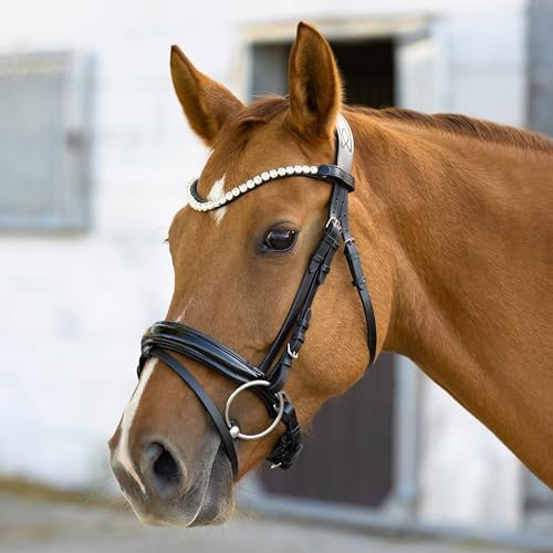 Heinick Trense Selection Lack Schnallen Schwarz Schnellwechselsystem ~ Vollblut ~